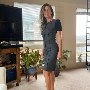 Elie Tahari Dress Knee Length Gray and Black